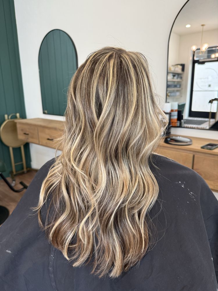 Bella Nicole Hair Logo