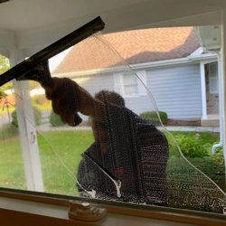 Metropolitan Window Cleaning Service - Professional service with professional tools