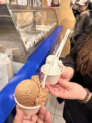HUMPHRY SLOCOMBE Concord by null