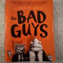Book Fairs Warehouse - The Found The Bad Guys Book 1