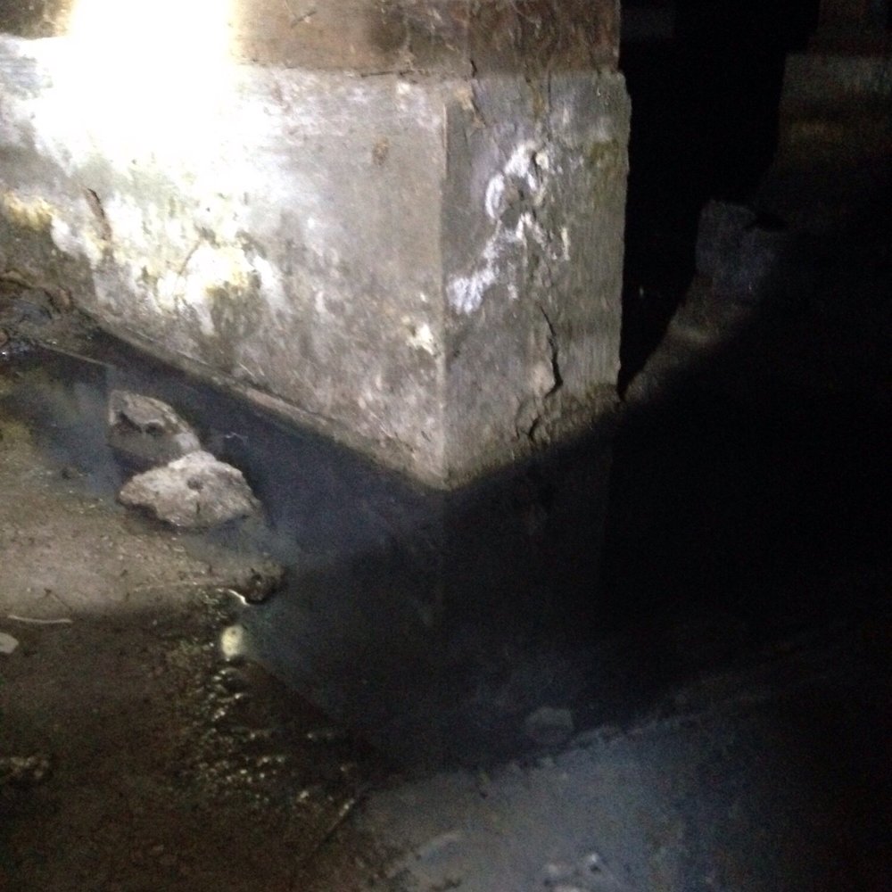 Kim & Casey - They call it grey water but why does it smell like shit?! - Property Management Near Me - Los Angeles, California