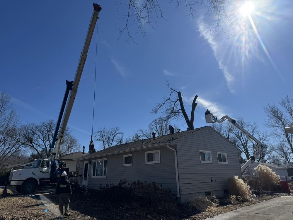 Tree Guys - tree service in North Liberty, IA