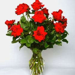 Flowers By Nino