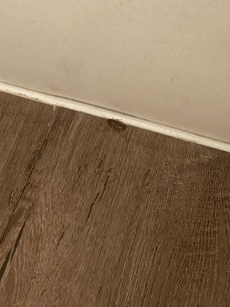 EXTENDED STAY AMERICA PREMIER SUITES 15 Photos & 23 Reviews 1350