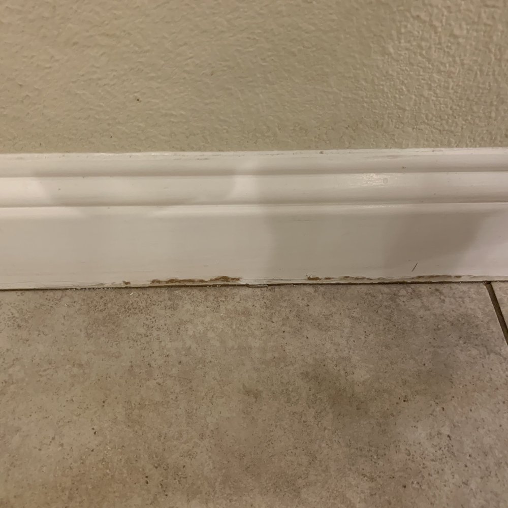 DFW Appliance Repair - Water damaged baseboards. Paint pulling away as boards swell. - Appliances & Repair Near Me - Sanger, Texas