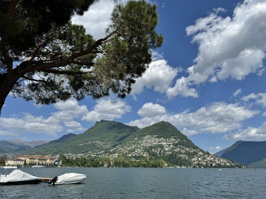 Ciani Lugano by null