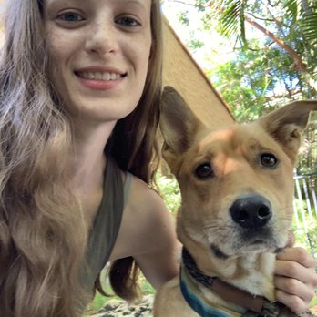 Equipaws Pet Services - Obiwan is the cutest! - Pet Sitting Near Me - Miami, Florida Equipaws Pet Services - Obiwan is the cutest! - Pet Sitting Near Me - Miami, Florida