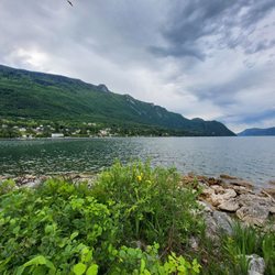 Camping Ile aux Cygnes