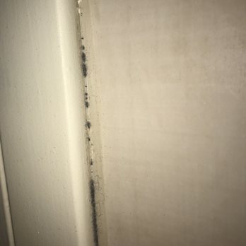 Hyatt Regency Chicago - Believe it or not this is some type of black mold growing in the seam of the wall paper and the door frame leading to the next door room. - Hotels Near Me - Chicago, Illinois Hyatt Regency Chicago - Believe it or not this is some type of black mold growing in the seam of the wall paper and the door frame leading to the next door room. - Hotels Near Me - Chicago, Illinois