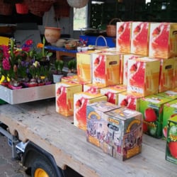 Hofladen Jürgen Knoop - Literweise Apfelsaft vom Hof....5 Liter 7.50 Euro