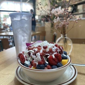 Project Coffee - Coffee & Tea Near Me - Sarasota, Florida Project Coffee - Coffee & Tea Near Me - Sarasota, Florida