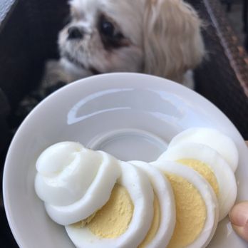Press Coffee - McCormick - Egg for him - Coffee & Tea Near Me - Scottsdale, Arizona