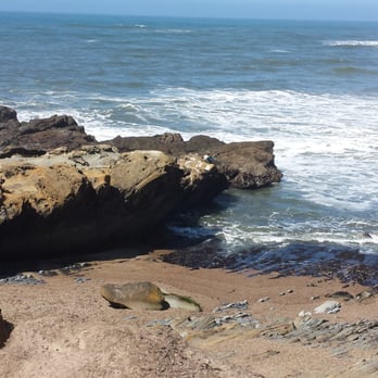 Bean Hollow State Beach - Beaches Near Me - Pescadero, California Bean Hollow State Beach - Beaches Near Me - Pescadero, California