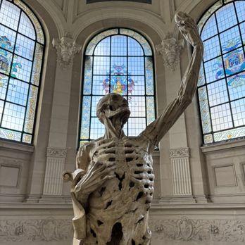 Palais des Beaux Arts - This was my favourite thing. - Museums Near Me - Lille, 59
