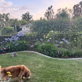 Reg’s Tree Service - Tree Services Near Me - Corona, California Reg’s Tree Service - Tree Services Near Me - Corona, California