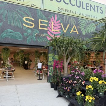 Selva Coffee House - Coffee & Tea Near Me - Del Mar, California