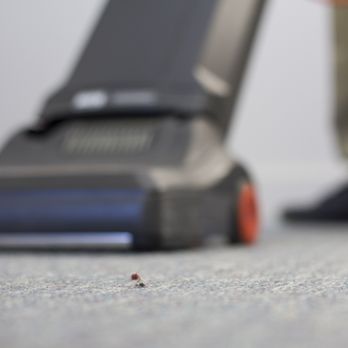 Heaven's Best Carpet Cleaning - Carpet Cleaning Near Me Heaven's Best Carpet Cleaning - Carpet Cleaning Near Me