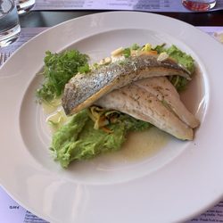 Palm Beach Restaurant - Sea bass, puréed potatoes with basil and spinach.