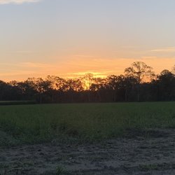 Bergeron's On the Bayou Campground - Sunrise picture at Bergeron's