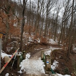 Dehnepark - Entrance to the forest, heading to Satzberg