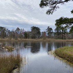 Island Nature Trail - Loop trail view