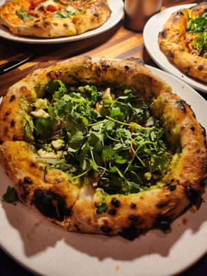 The Onion Tree by null