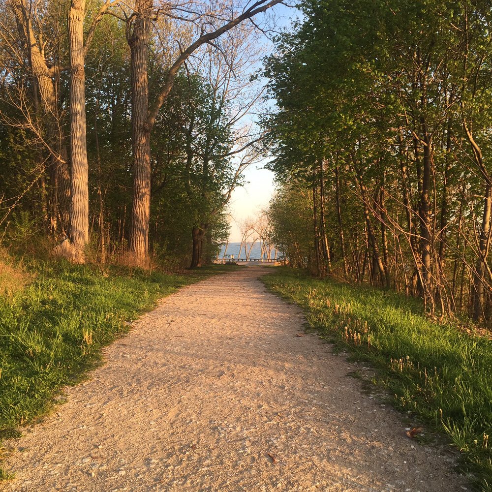 Edgewater Park - The walking path. The whole thing doesn't look like this, some parts are more hiking path - Parks Near Me - Cleveland, Ohio