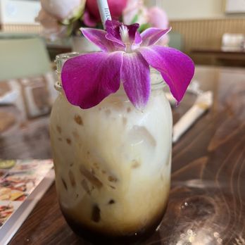 The Modern Rose - Mushroom 'coffee' - Breakfast & Brunch Near Me - Delray Beach, Florida The Modern Rose - Mushroom 'coffee' - Breakfast & Brunch Near Me - Delray Beach, Florida