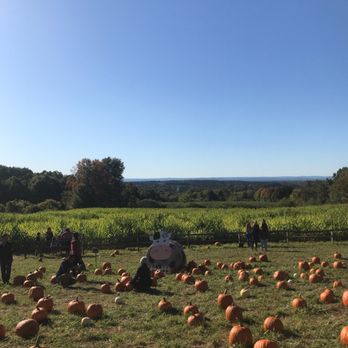 Johnny's Appleseed Farm - Pick Your Own Farms Near Me - Ellington, Connecticut Johnny's Appleseed Farm - Pick Your Own Farms Near Me - Ellington, Connecticut