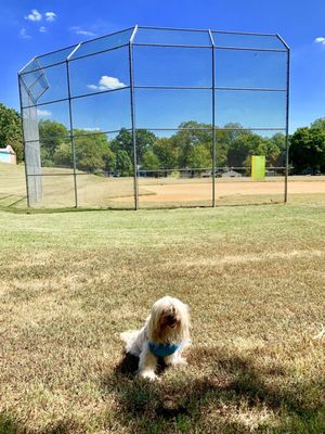 Bessie Branham Park by null
