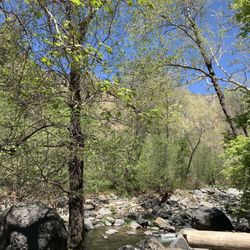 Bootlegger Picnic Area - Sky so blue