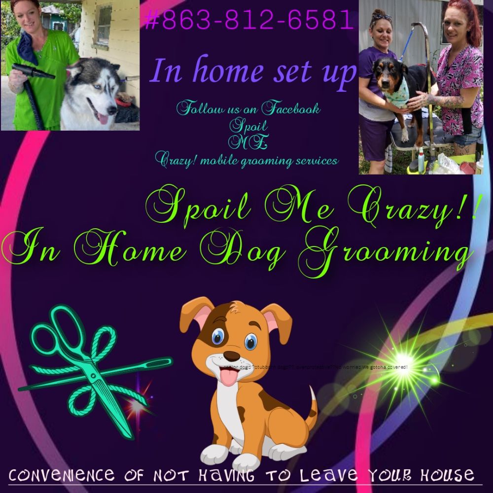 SPOIL ME CRAZY MOBILE GROOMING SERVICES Updated July 2024 14 Photos