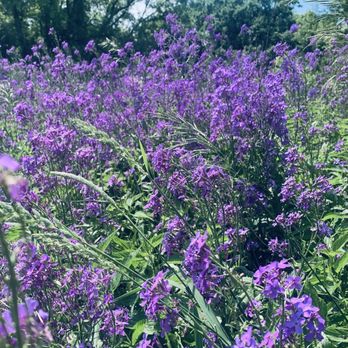 Camden State Park - Parks Near Me - Lynd, Minnesota