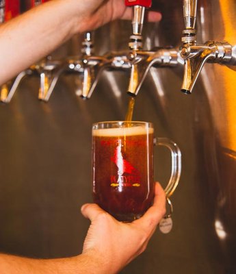 Platypus Brewing by null