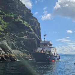 Dingle Dolphin Boat Tours - Dingle Bay Cliff Tour