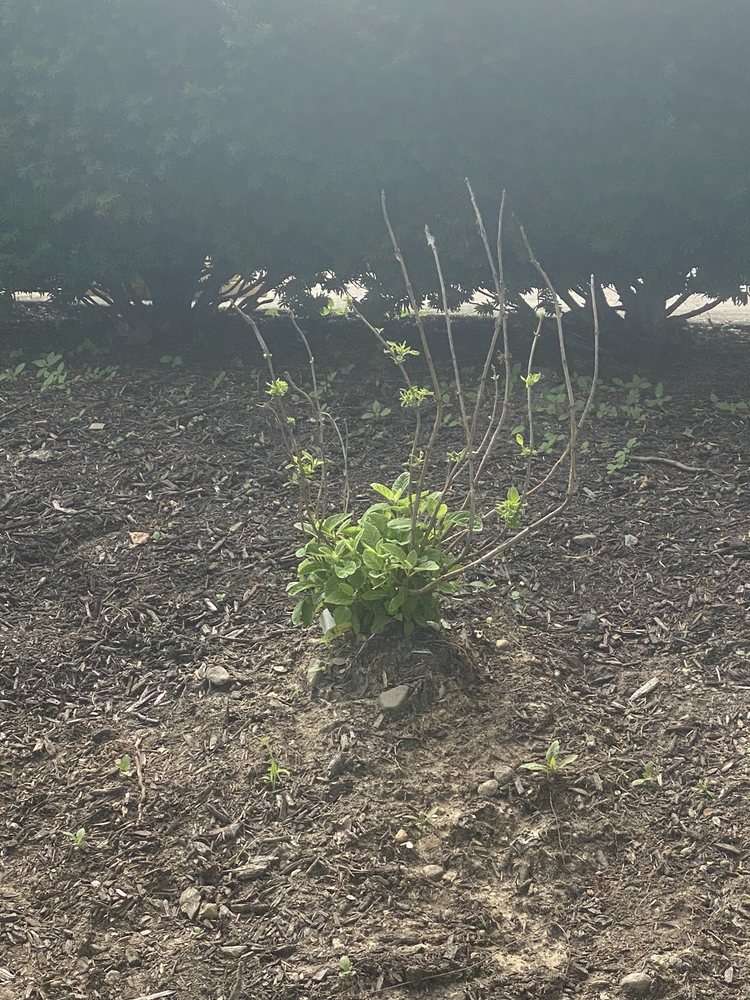 FOUR SEASONS LANDSCAPING NURSERY Updated June 2024 22 Photos 226