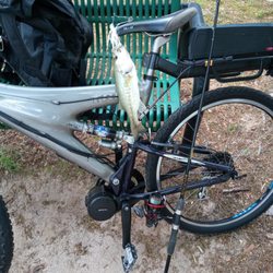Infinity Bicycles