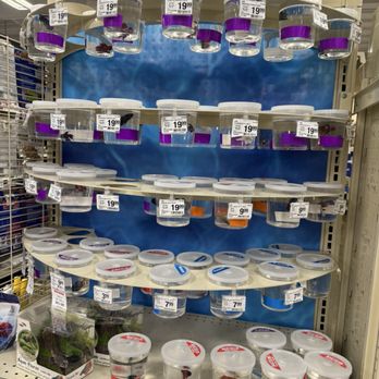PetSmart - Bettas - Pet Groomers Near Me - Northridge, California PetSmart - Bettas - Pet Groomers Near Me - Northridge, California