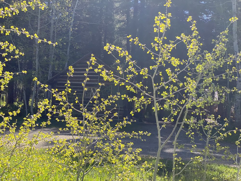 WEST FORK CAMPGROUND Updated August 2024 Co Rd 648, Chimney Rock