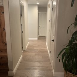 a hallway with a potted plant a hallway with a potted plant