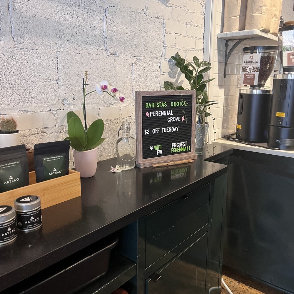 Perennial - Coffee & Tea Near Me - Chapel Hill, North Carolina