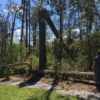 America Tree Service - BEFORE - Tree Services Near Me America Tree Service - BEFORE - Tree Services Near Me