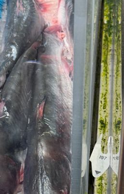 Northgate González Market by null