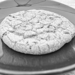 Foxtail Coffee - Clermont - Chocolate chip cookie