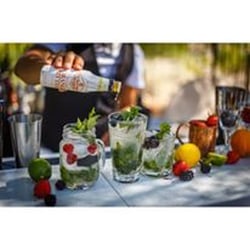 Slick Bartender - Mojito cocktail bar!