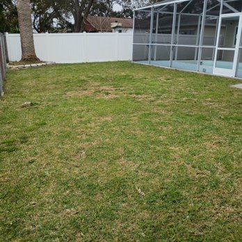 Leaf Cut Lawn Care - Backyard freshly mowed and weed whacked - Lawn Services Near Me - Largo, Florida