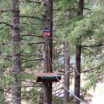 Tree to Tree Adventure Park - Amusement Parks Near Me - Gaston, Oregon