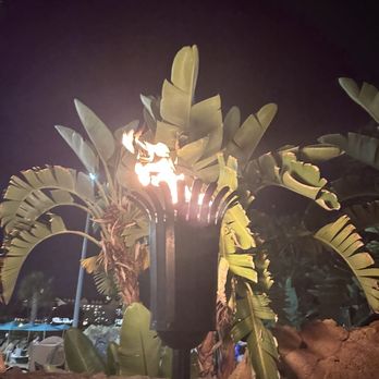 Pineapple Lanai - We forgot to take a pic of the Dole, but eating at the Polynesian made it even more enjoyable! - Desserts Near Me - Orlando, Florida