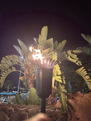 Pineapple Lanai by null