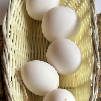 Tofu House - Egg basket, one for each order, extra egg $.50 each - Korean Near Me - San Diego, California Tofu House - Egg basket, one for each order, extra egg $.50 each - Korean Near Me - San Diego, California